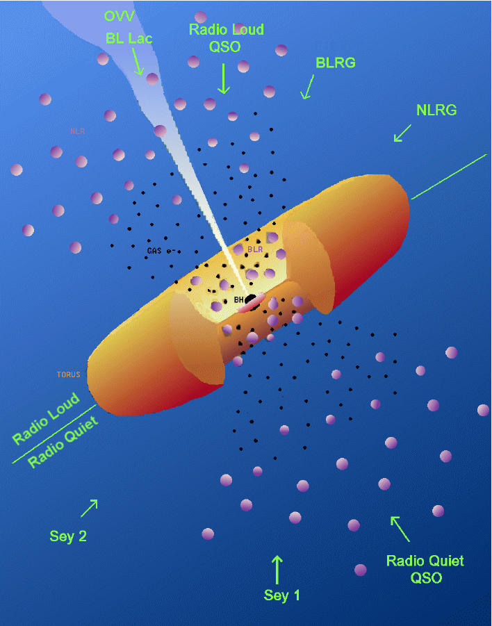 The Torus — AltDynamic