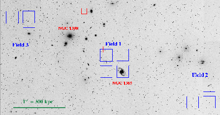 Image of the Fornax Cluster of Galaxies,with intracluster fields marked