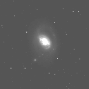 Image of the galaxy M96